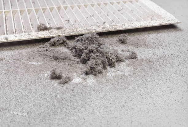 Best Home Air Vent Cleaning  in Mesquite, TX